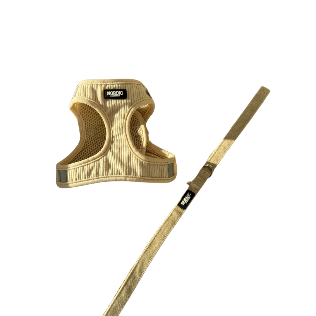 SANDSTORM MATCHING SET - BEIGE VELOUR